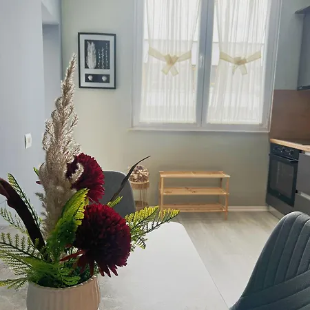 Joyful Apartment Tirana
