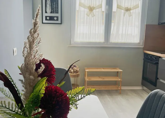 Joyful Apartamento Tirana